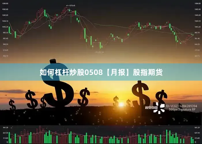 如何杠杆炒股0508【月报】股指期货